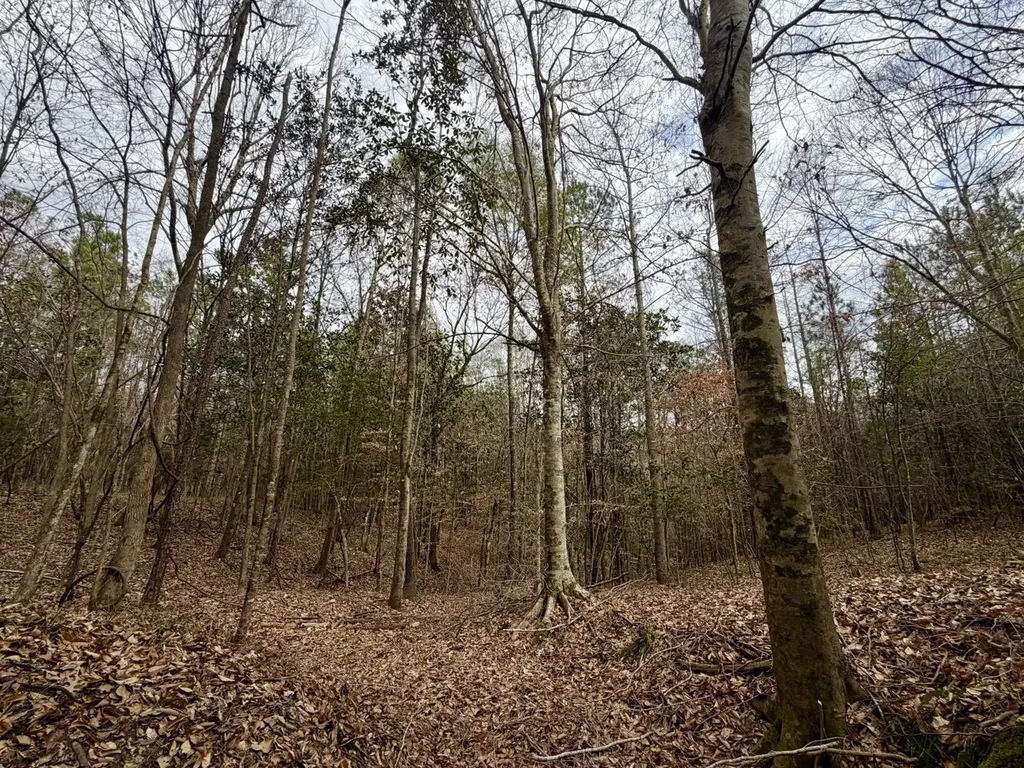 0 Ragtown Road Grove Hill AL 36451