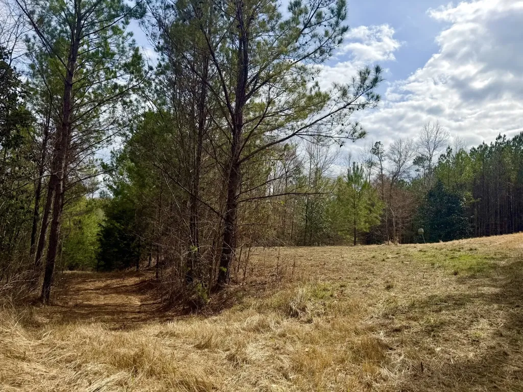 0 Ragtown Road Grove Hill AL 36451
