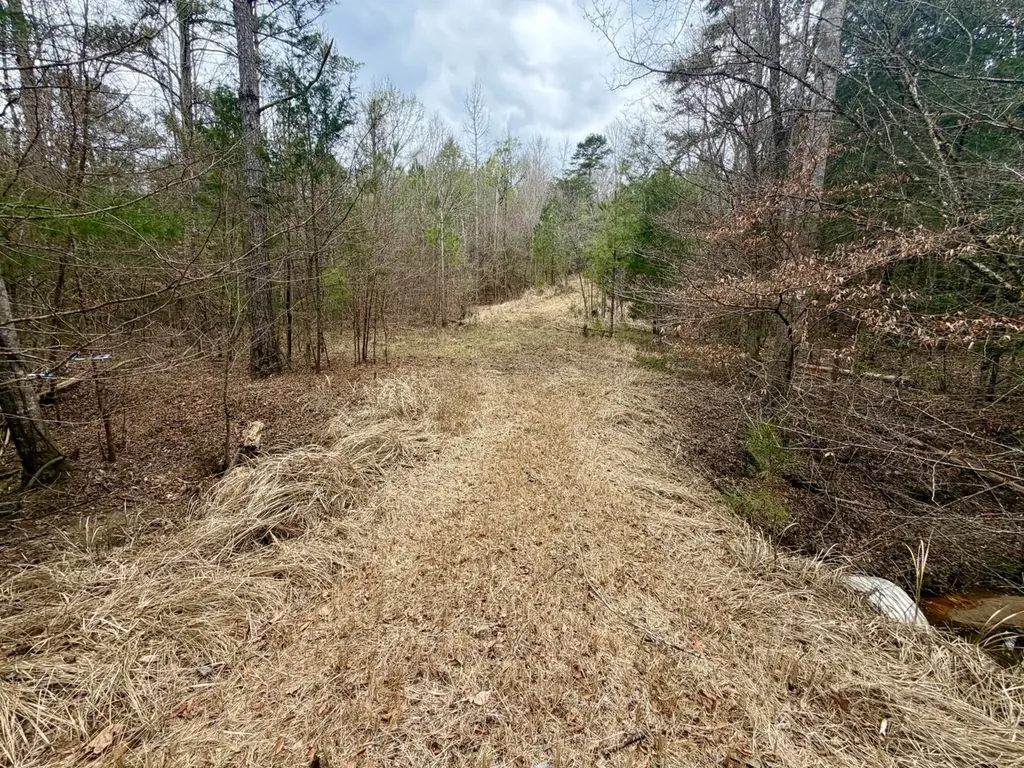 0 Ragtown Road Grove Hill AL 36451