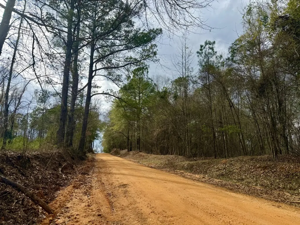 0 Ragtown Road Grove Hill AL 36451