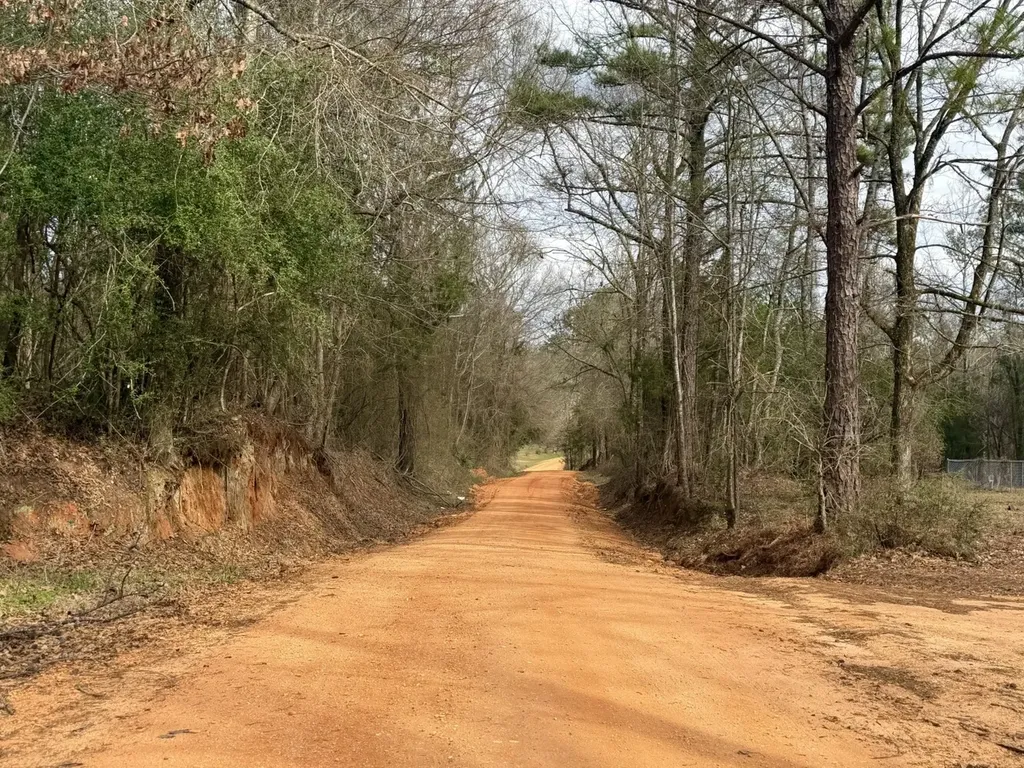 0 Ragtown Road Grove Hill AL 36451