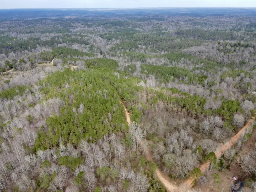 0 Ragtown Road Grove Hill AL 36451