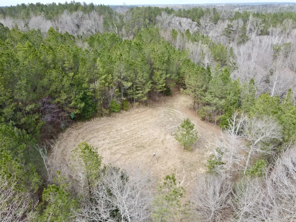0 Ragtown Road Grove Hill AL 36451