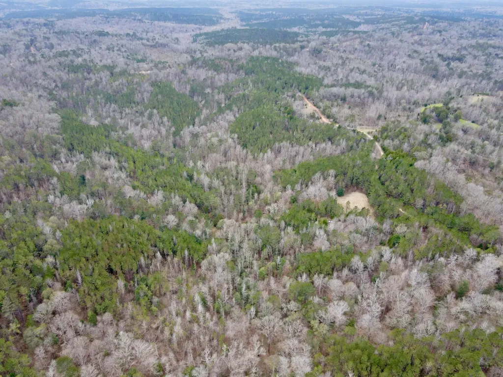 0 Ragtown Road Grove Hill AL 36451
