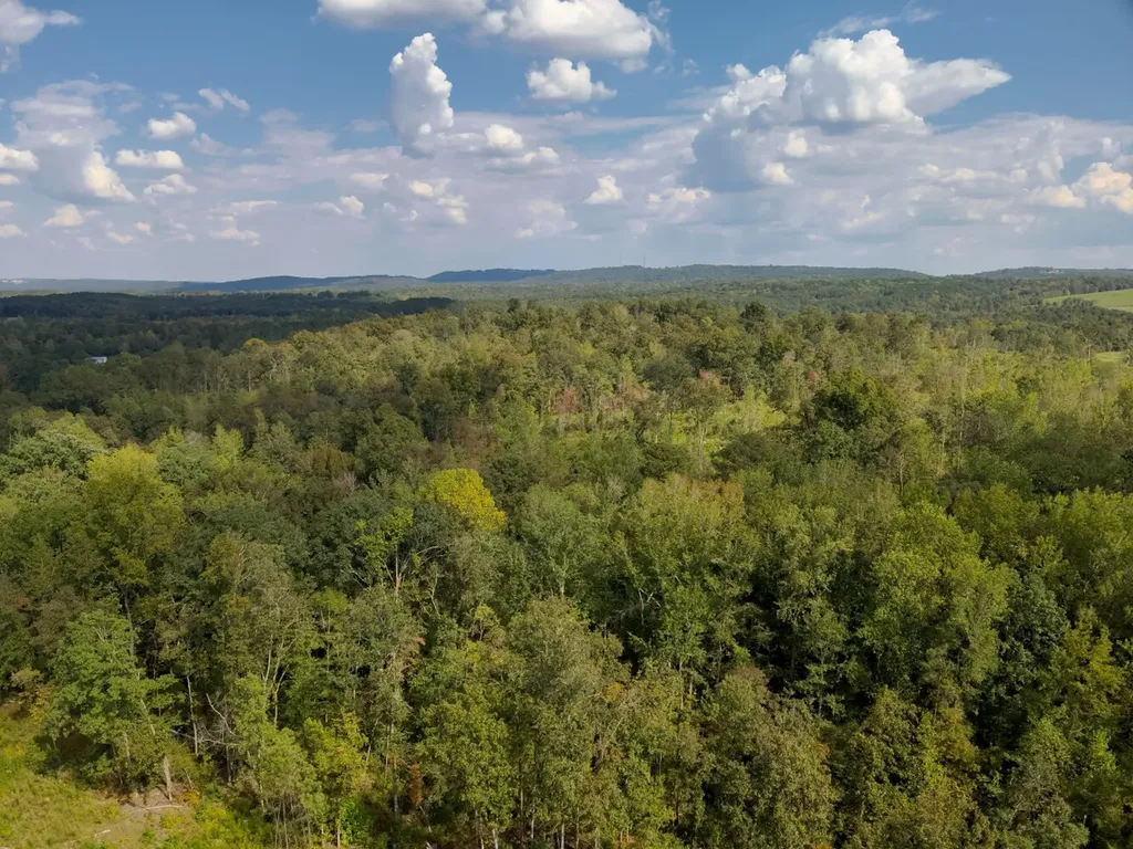 000 County Road 5 Hayden AL 35079