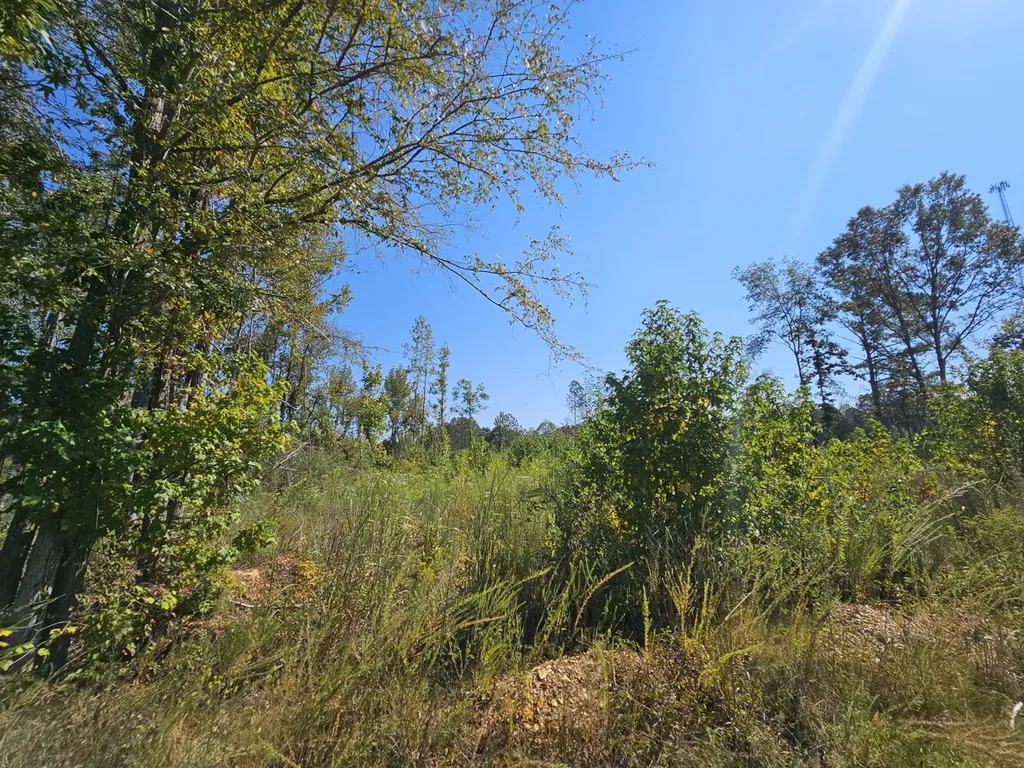 000 County Road 5 Hayden AL 35079