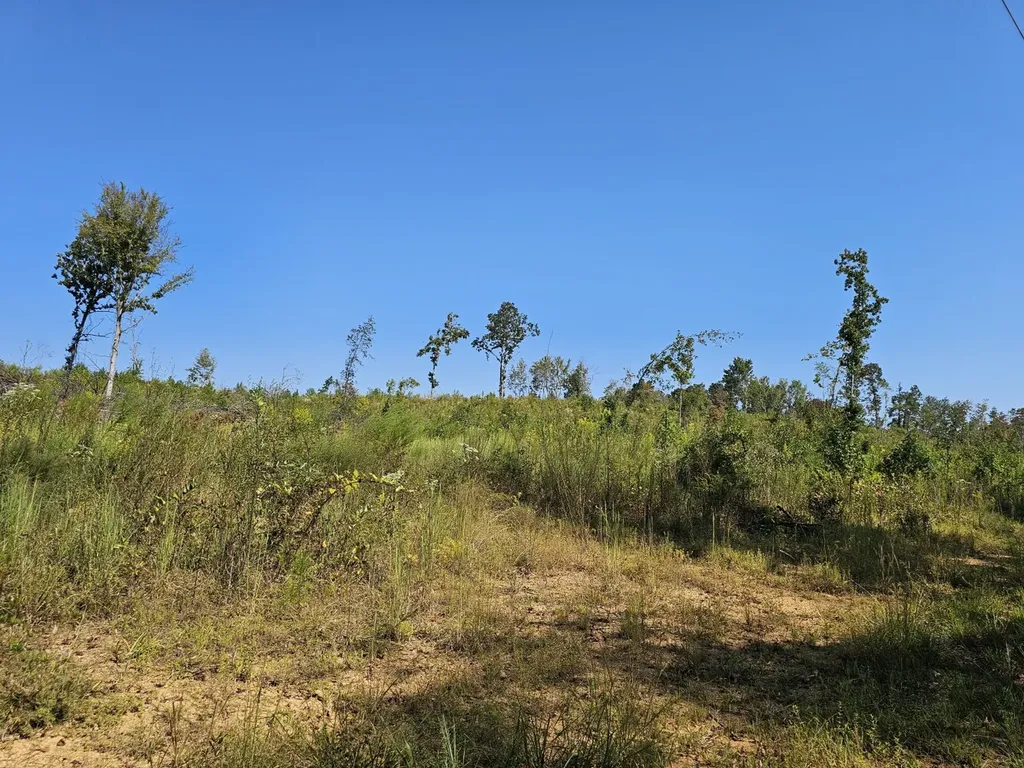 000 County Road 5 Hayden AL 35079