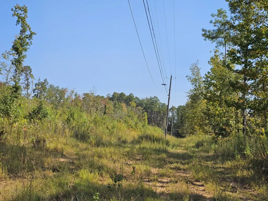 000 County Road 5 Hayden AL 35079