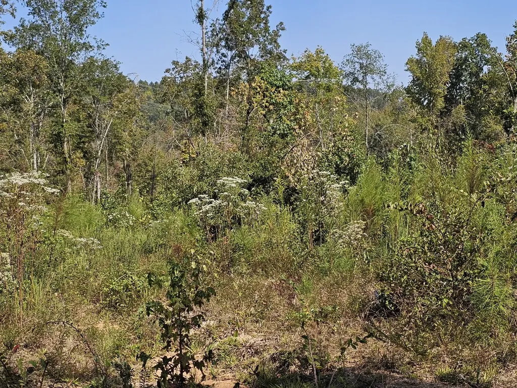 000 County Road 5 Hayden AL 35079