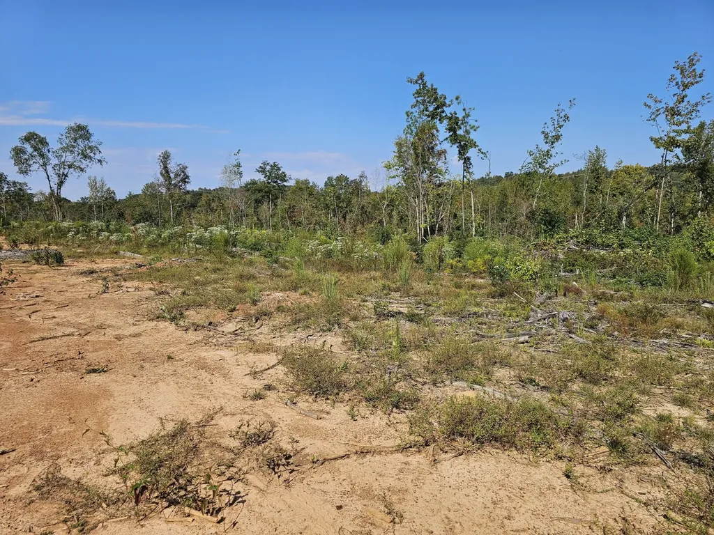 000 County Road 5 Hayden AL 35079