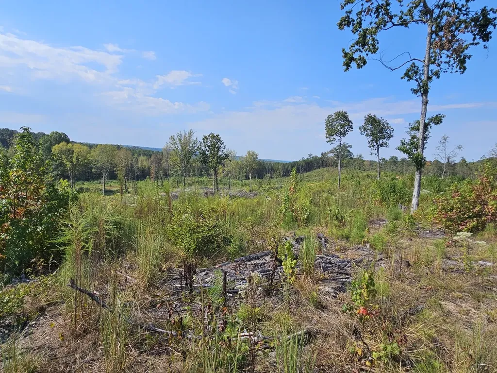 000 County Road 5 Hayden AL 35079