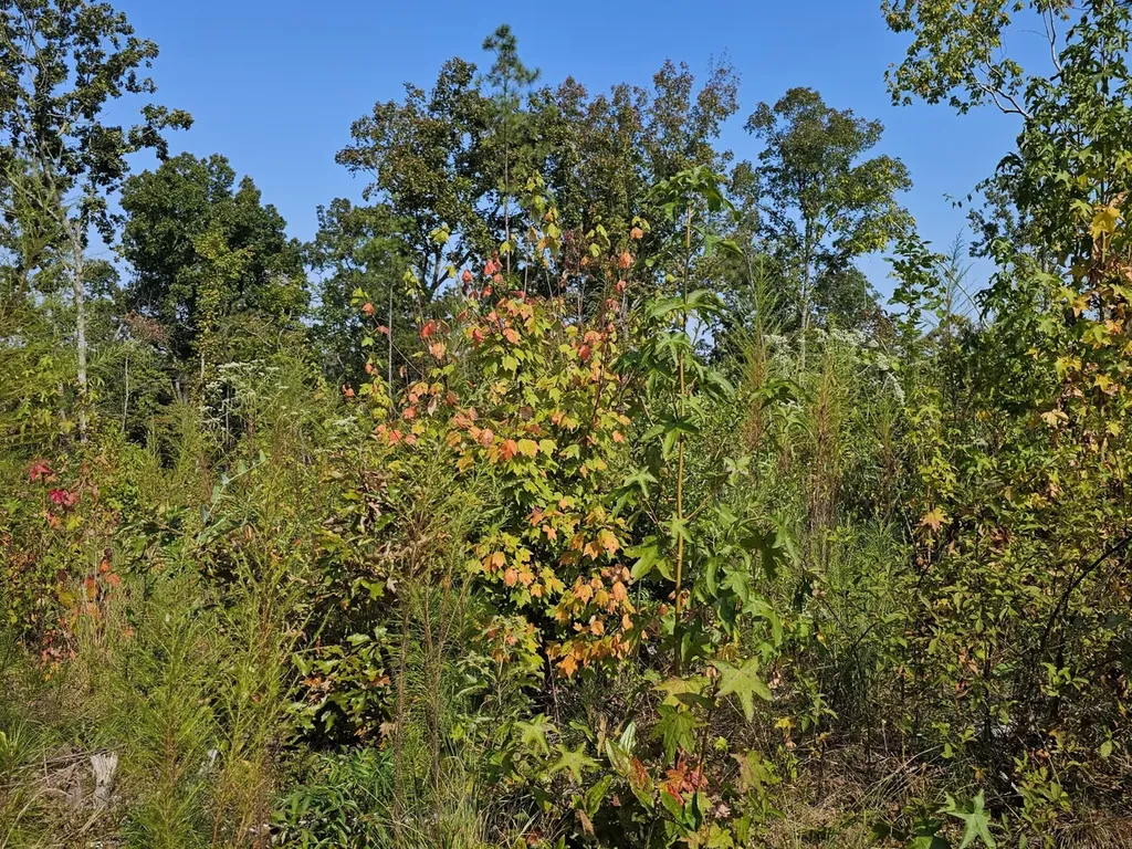 000 County Road 5 Hayden AL 35079