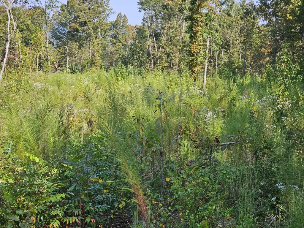 000 County Road 5 Hayden AL 35079