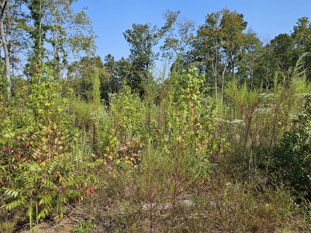 000 County Road 5 Hayden AL 35079