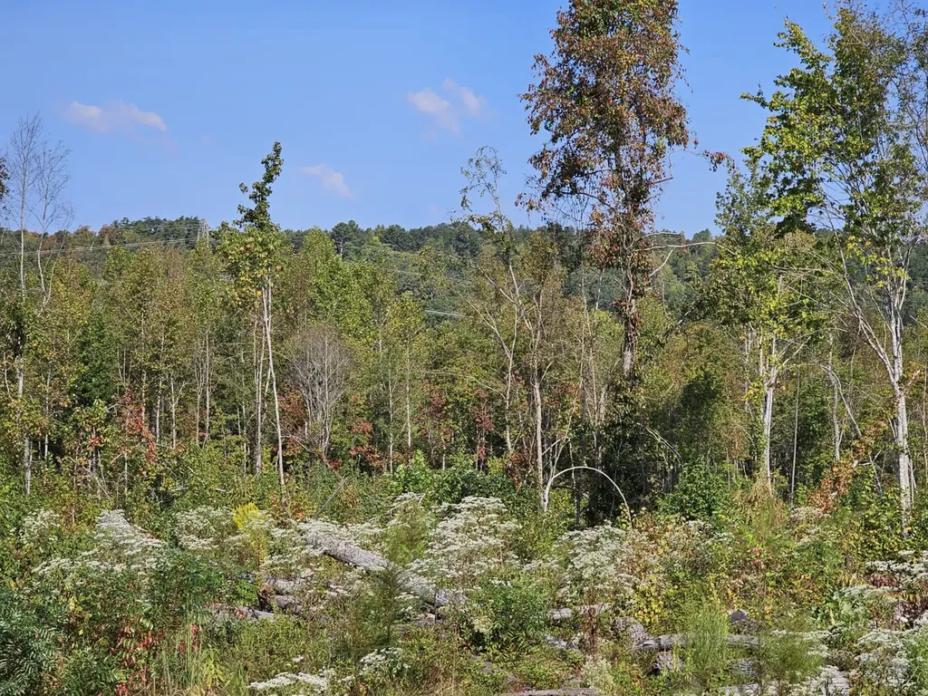 000 County Road 5 Hayden AL 35079