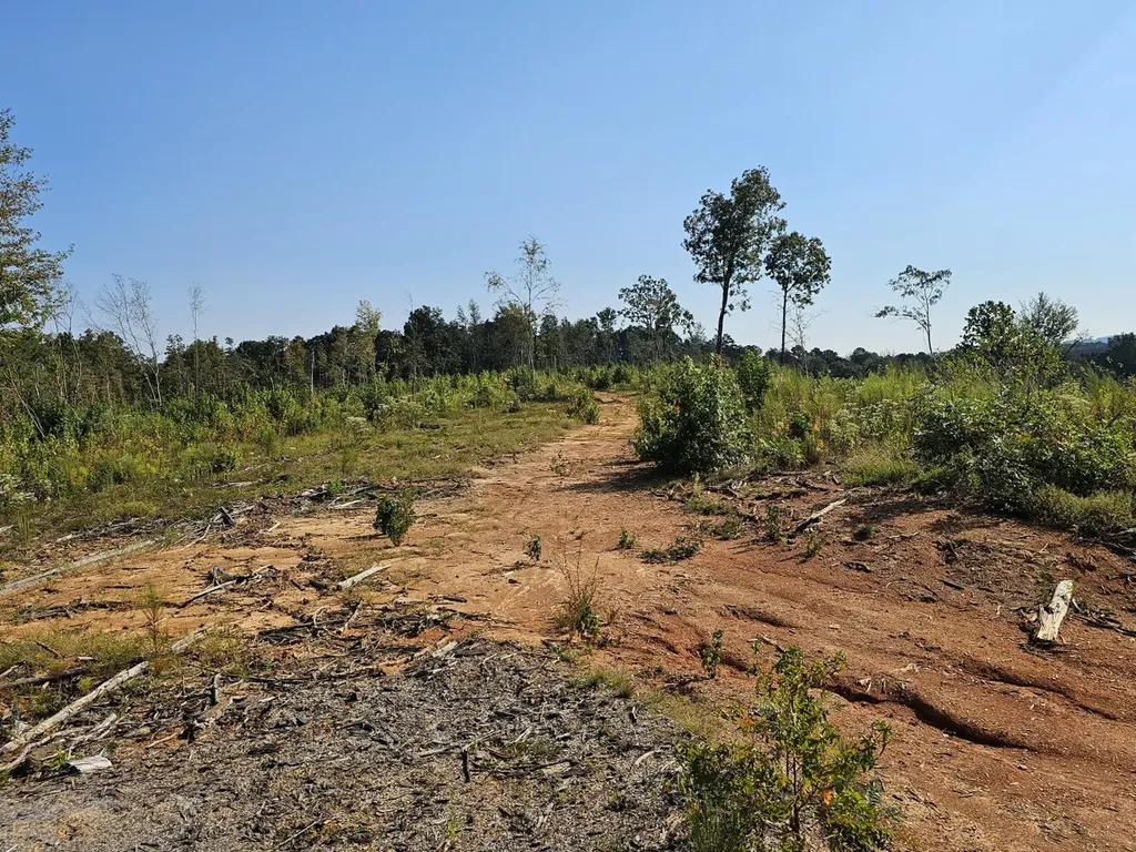 000 County Road 5 Hayden AL 35079