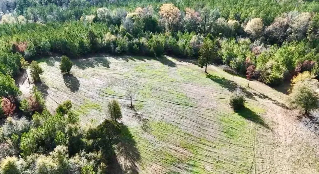 2059 Monterey Road Forest Home AL 36030