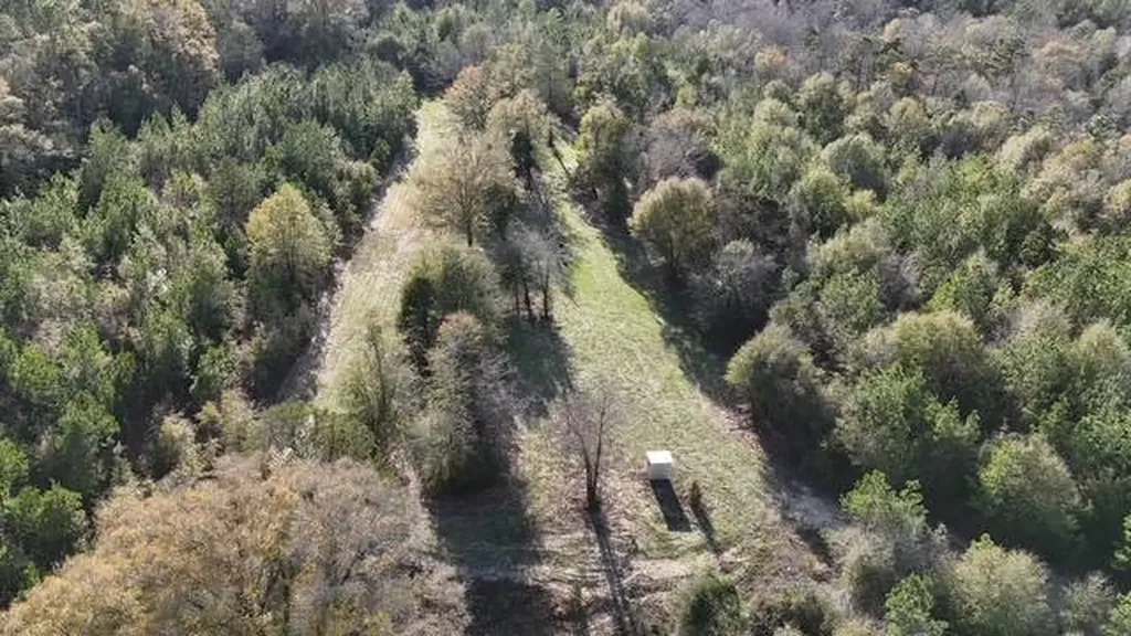 2059 Monterey Road Forest Home AL 36030