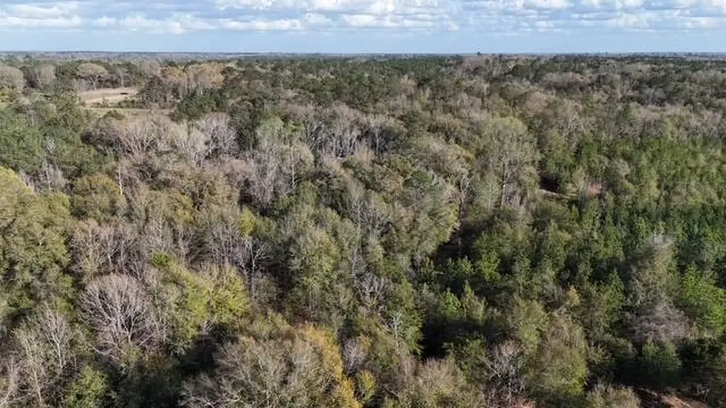 2059 Monterey Road Forest Home AL 36030