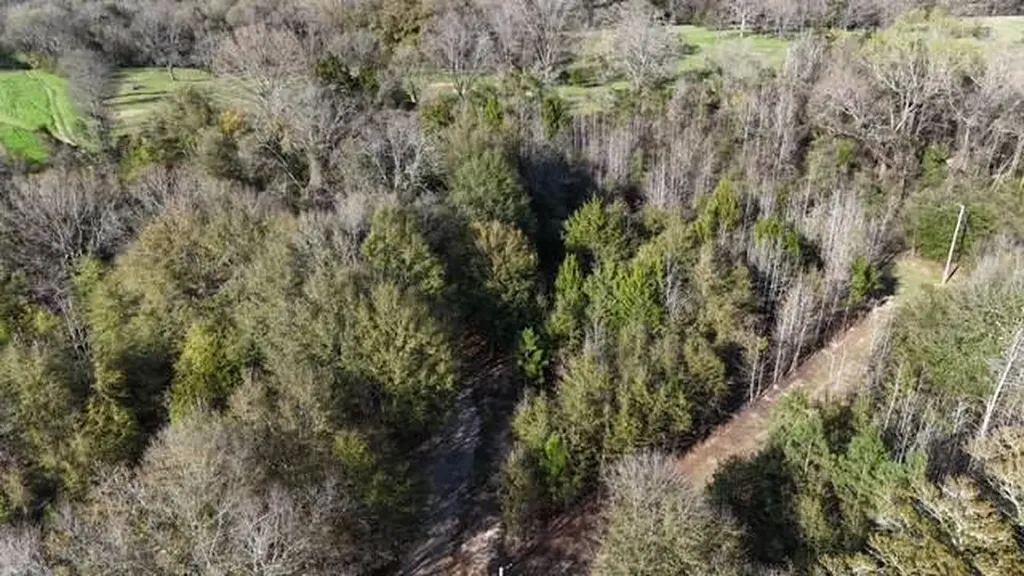 2059 Monterey Road Forest Home AL 36030