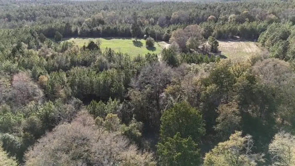 2059 Monterey Road Forest Home AL 36030