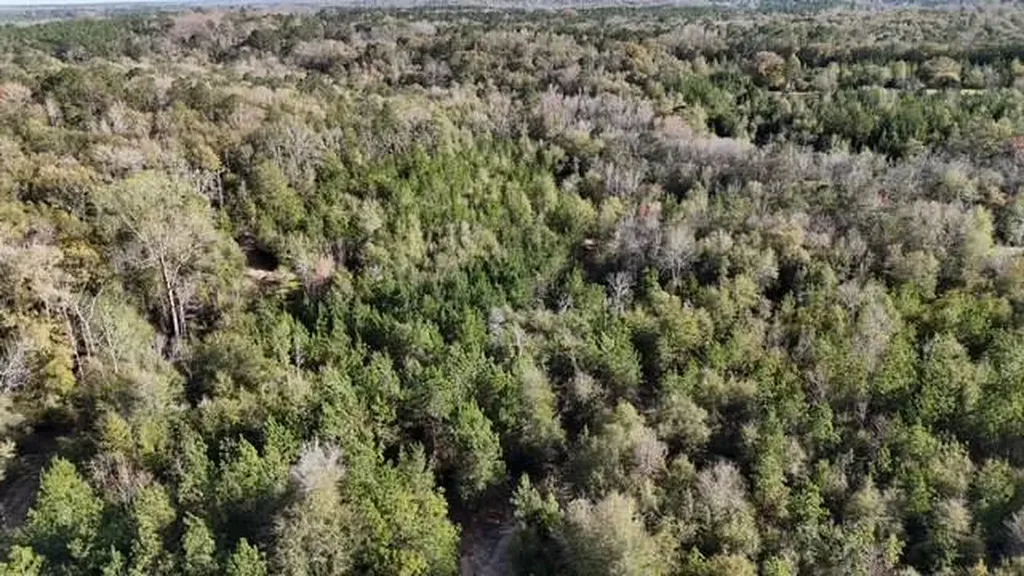 2059 Monterey Road Forest Home AL 36030