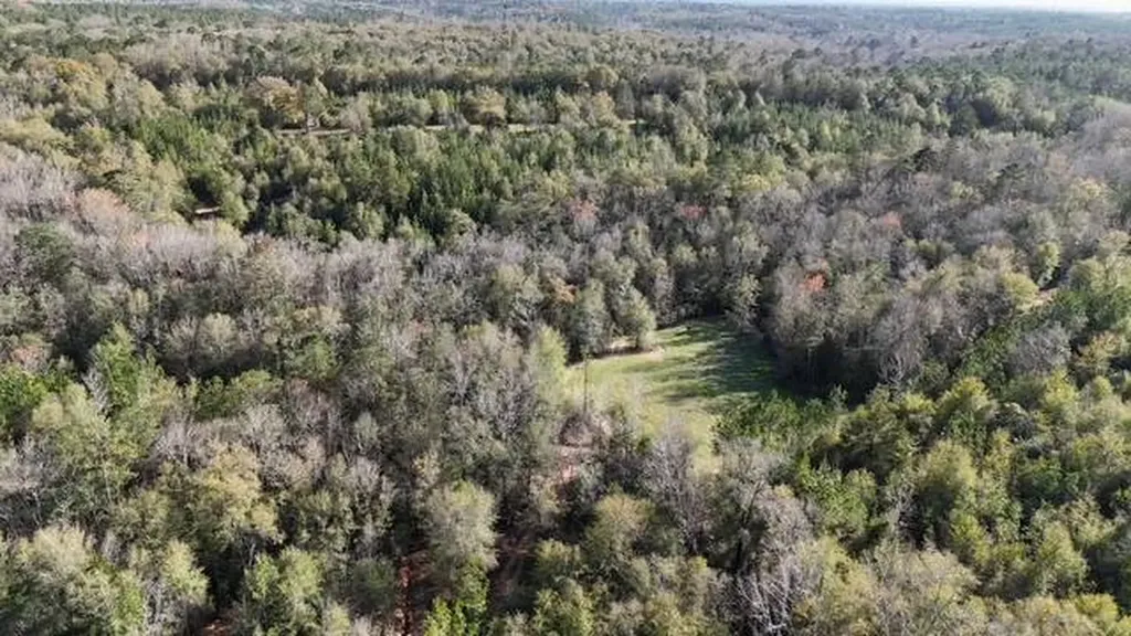 2059 Monterey Road Forest Home AL 36030