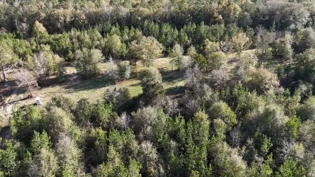 2059 Monterey Road Forest Home AL 36030