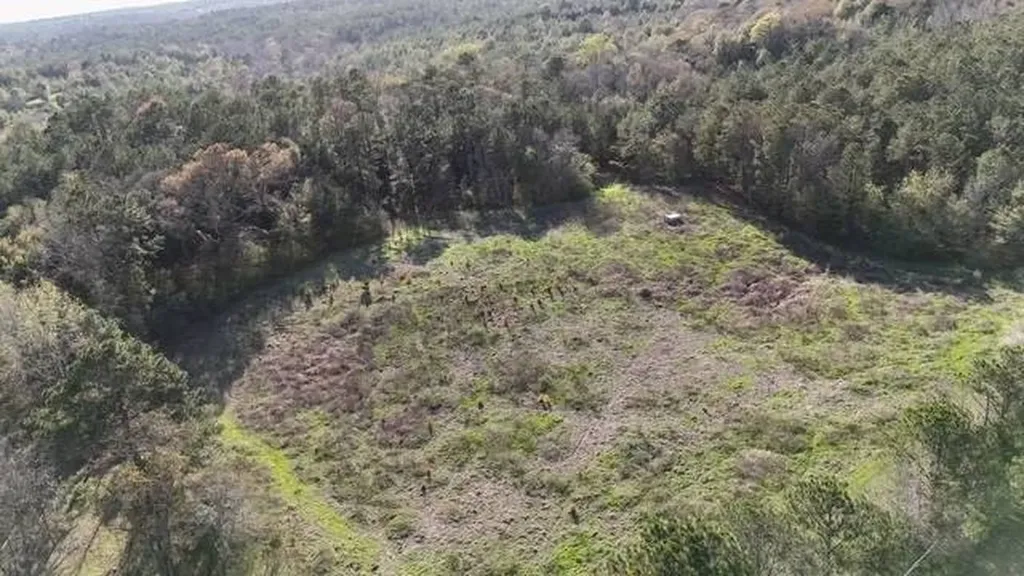 2059 Monterey Road Forest Home AL 36030