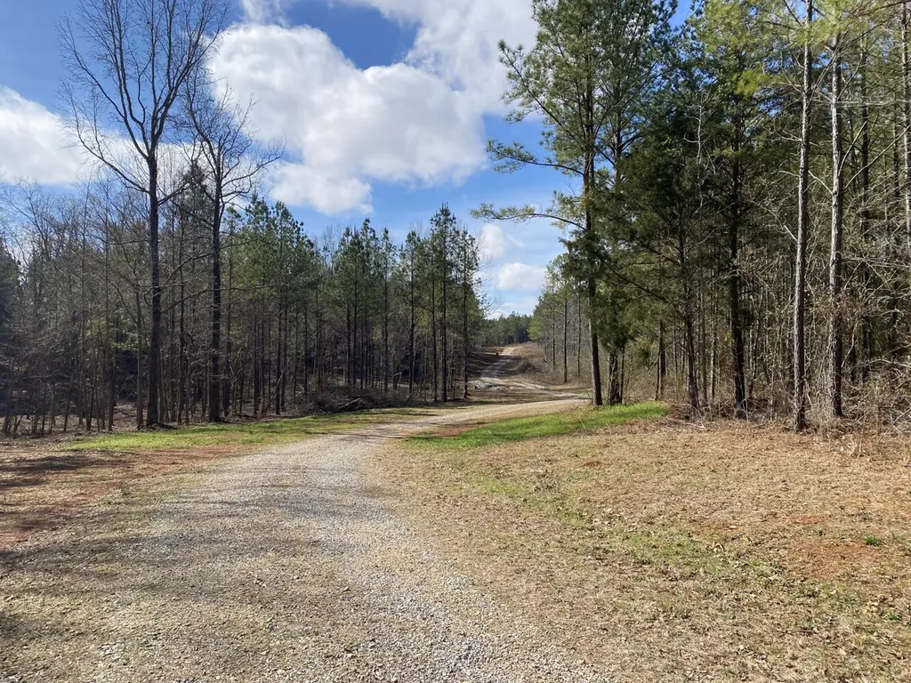 Highway 61 Columbiana AL 35051