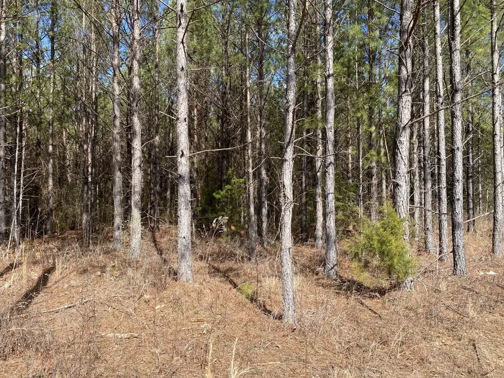 Highway 61 Columbiana AL 35051