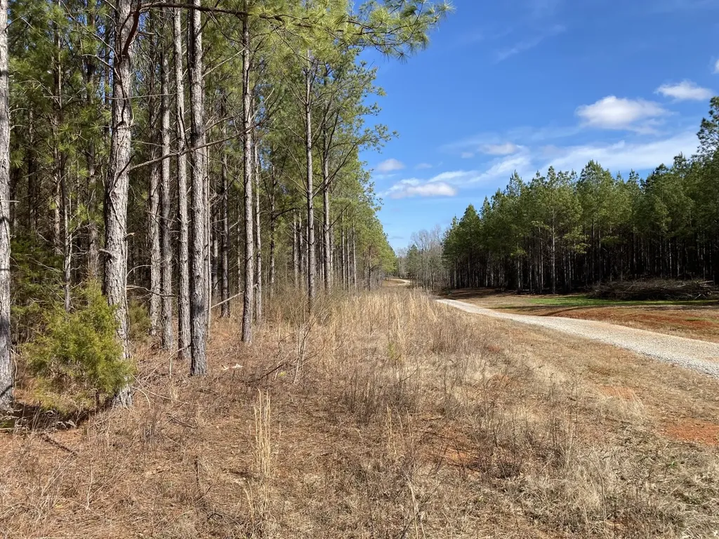 Highway 61 Columbiana AL 35051