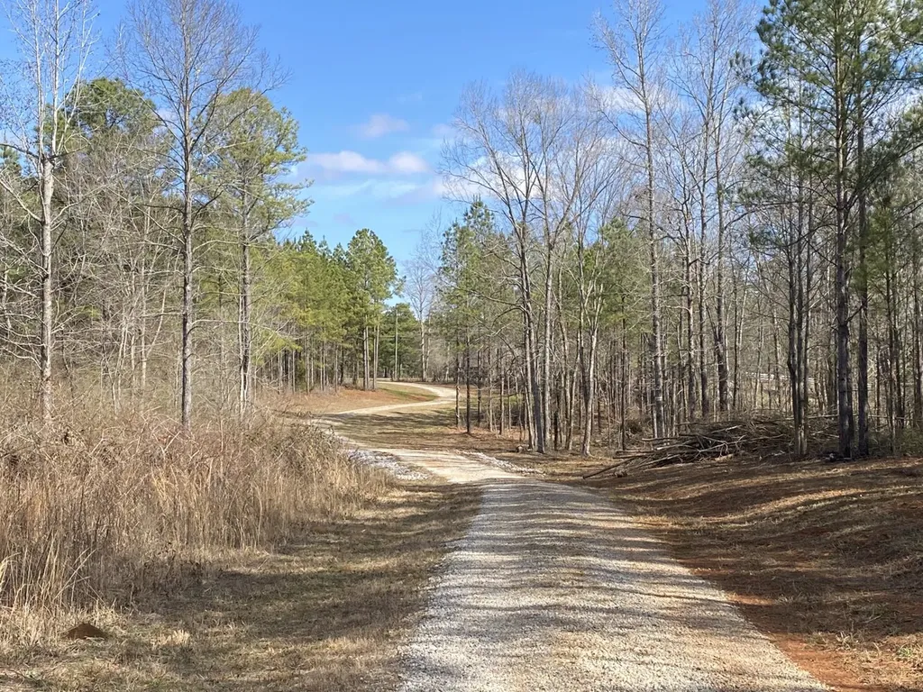 Highway 61 Columbiana AL 35051