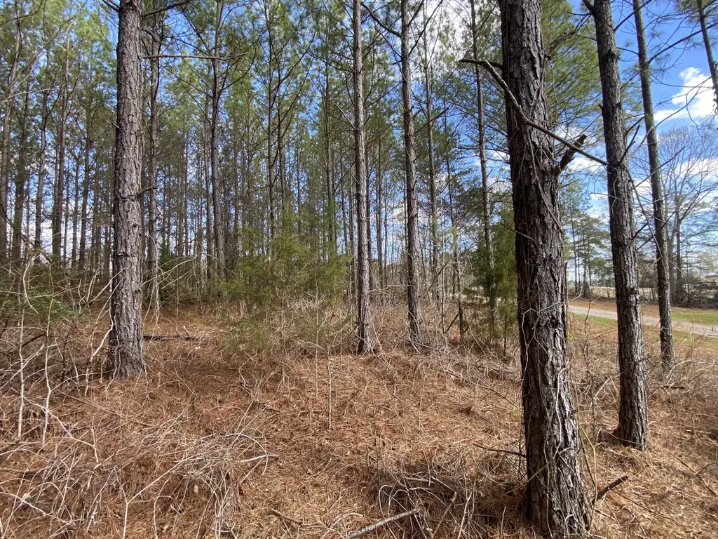 Highway 61 Columbiana AL 35051