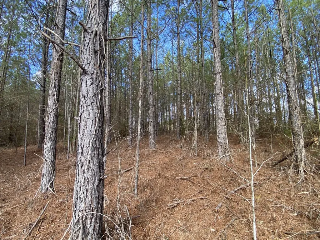 Highway 61 Columbiana AL 35051