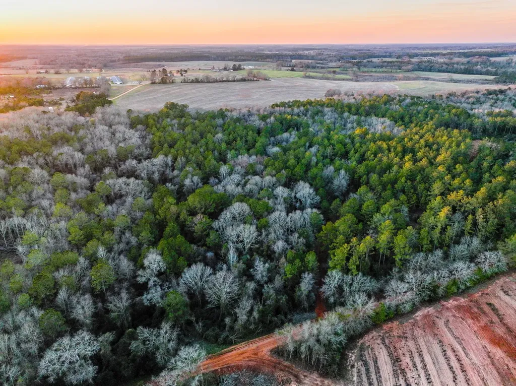 0 County Road 646 Coffee Springs AL 36318