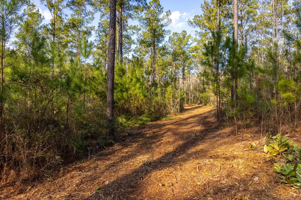 0 County Road 646 Coffee Springs AL 36318