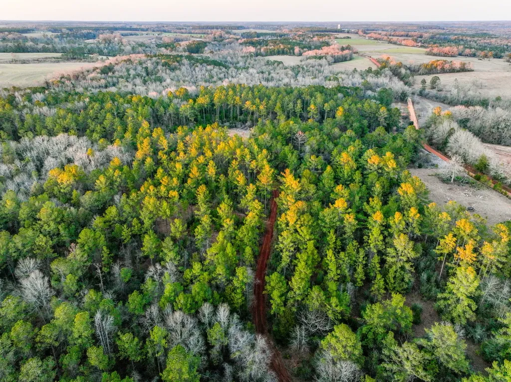 0 County Road 646 Coffee Springs AL 36318