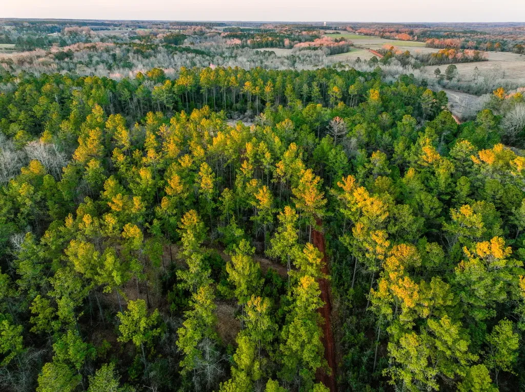 0 County Road 646 Coffee Springs AL 36318