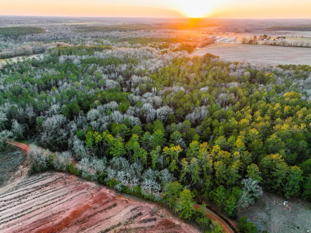 0 County Road 646 Coffee Springs AL 36318