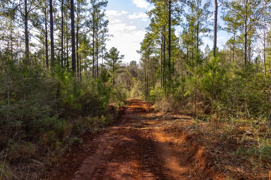 0 County Road 646 Coffee Springs AL 36318