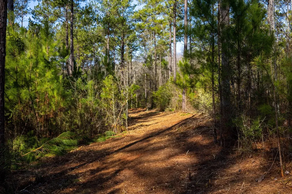 0 County Road 646 Coffee Springs AL 36318