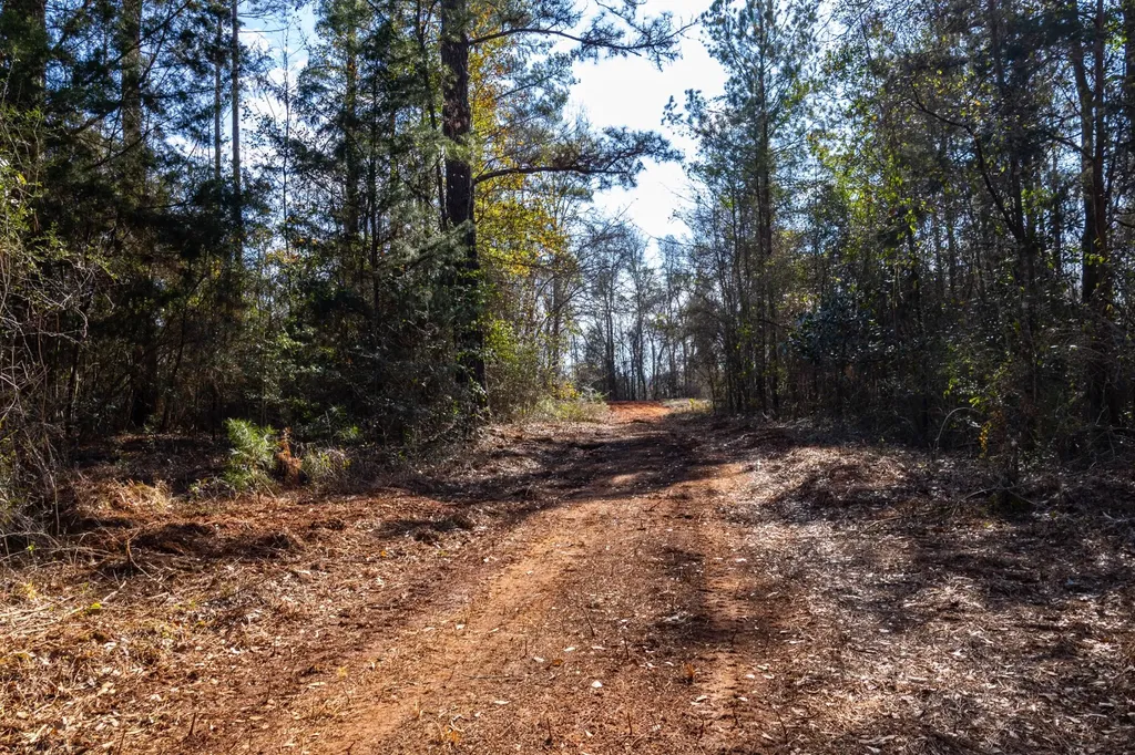 0 County Road 646 Coffee Springs AL 36318