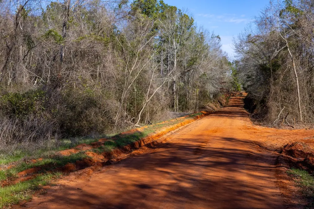 0 County Road 646 Coffee Springs AL 36318