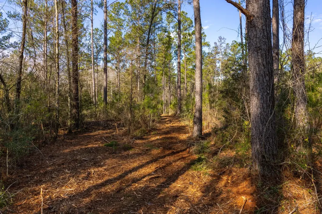 0 County Road 646 Coffee Springs AL 36318