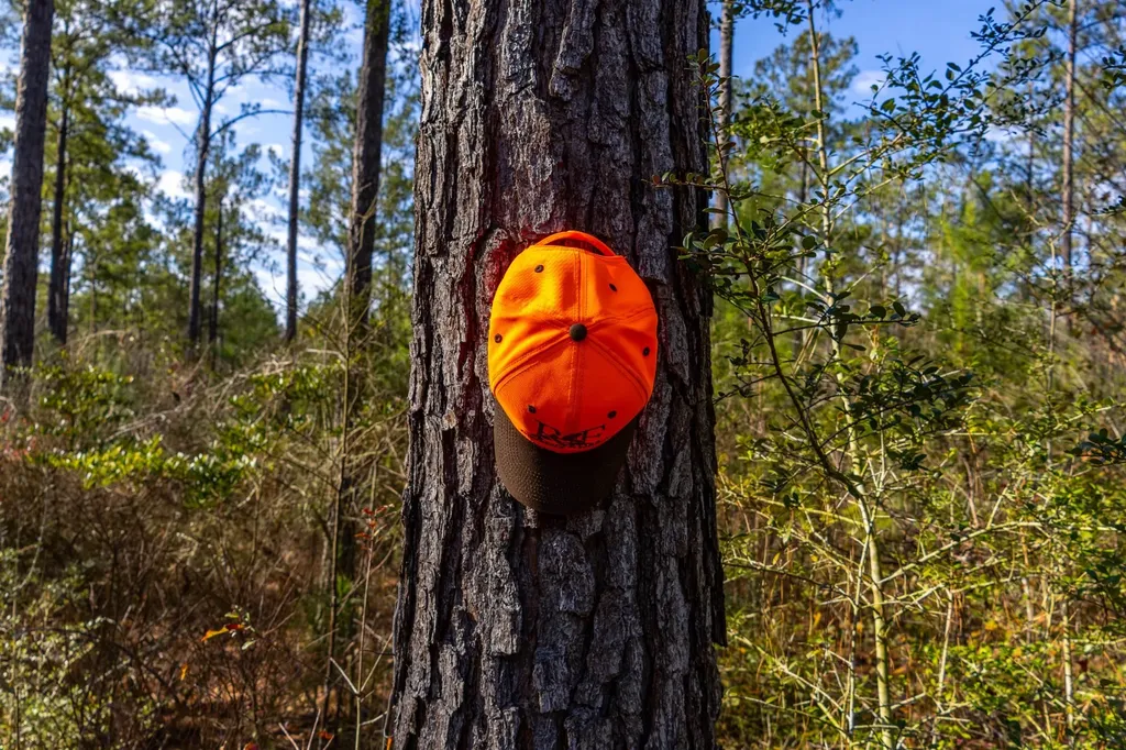 0 County Road 646 Coffee Springs AL 36318