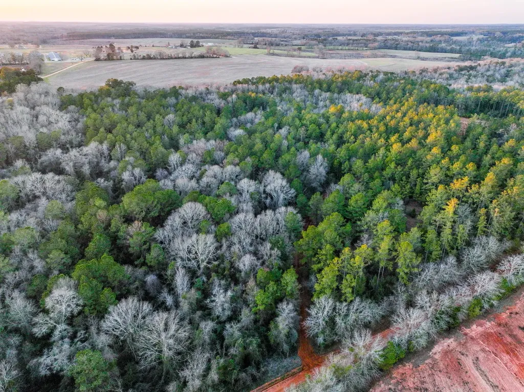 0 County Road 646 Coffee Springs AL 36318