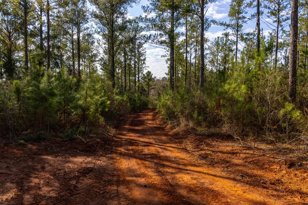 0 County Road 646 Coffee Springs AL 36318