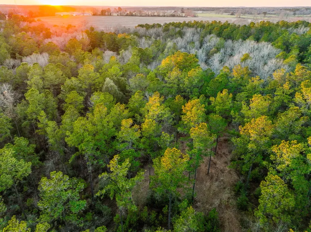 0 County Road 646 Coffee Springs AL 36318