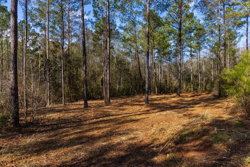 0 County Road 646 Coffee Springs AL 36318